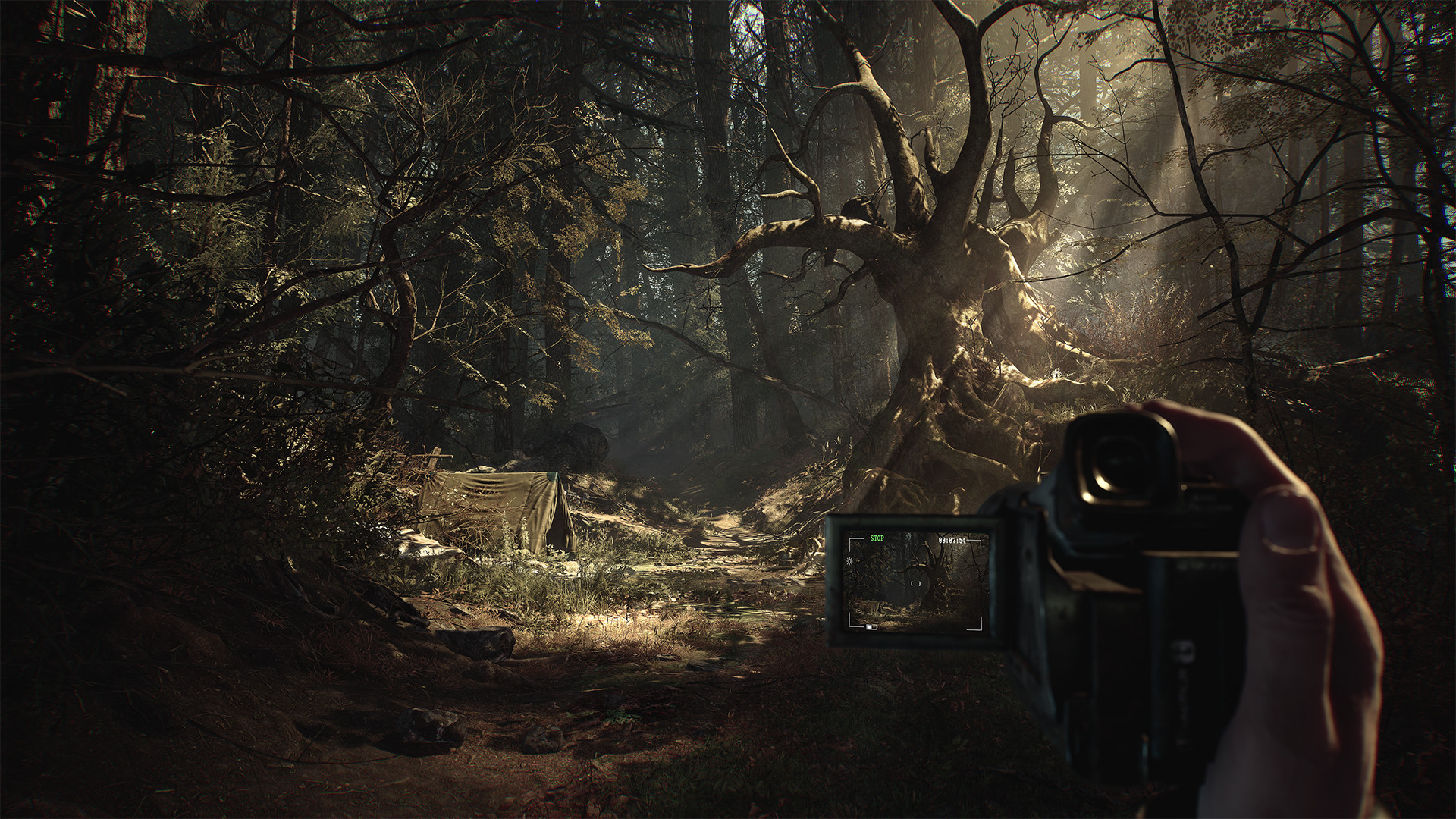 Блэр Ведьма - новый трейлер в 4K через тур по лесу