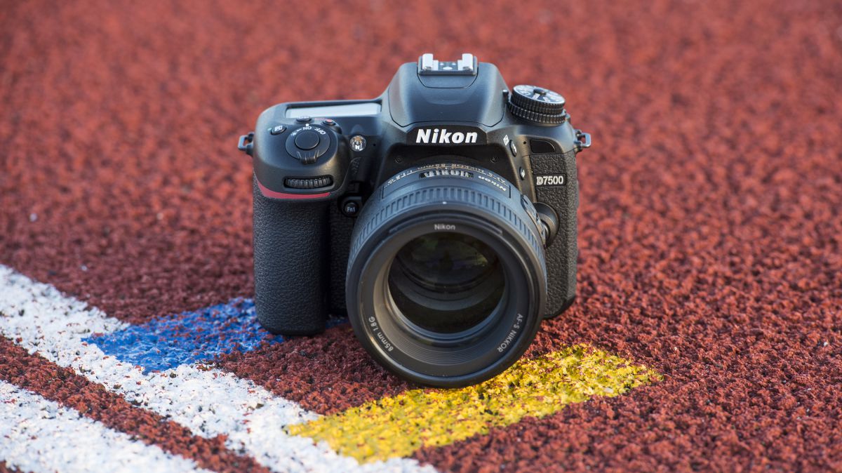 Лучшая DSLR камера 2019 года: 10 великолепных камер на любой бюджет