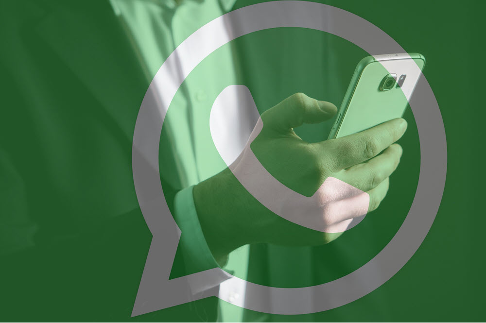 Как восстановить WhatsApp, если ваш мобильный телефон украден