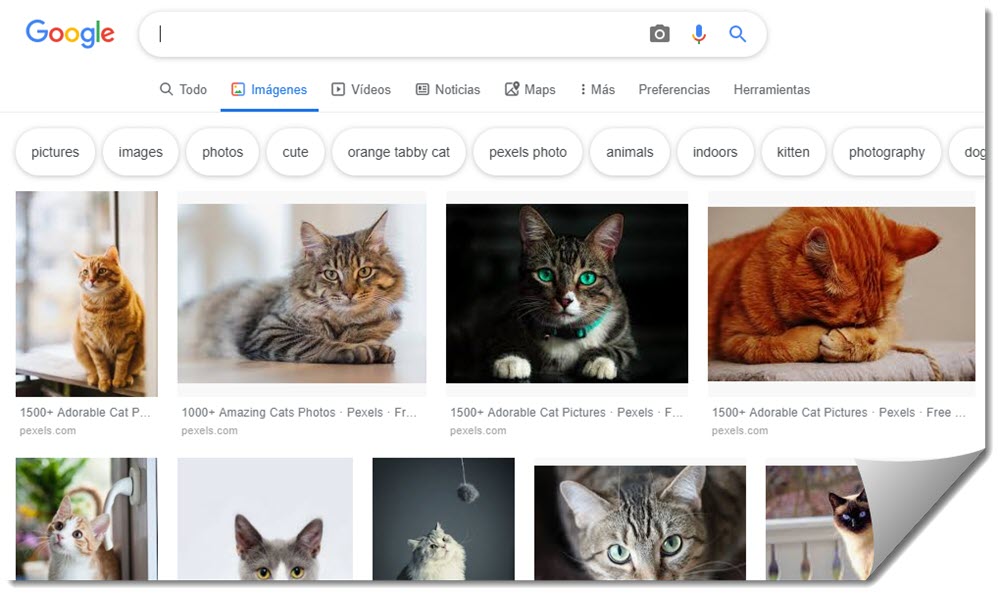 Как искать изображения по цветам с помощью Google Images