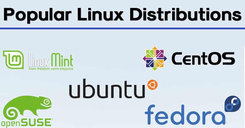 10 лучших самых популярных дистрибутивов Linux в 2021 году