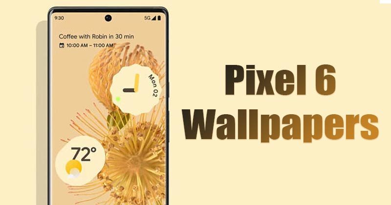 Загрузите обои Pixel 6 на свой смартфон (разрешение FHD +)