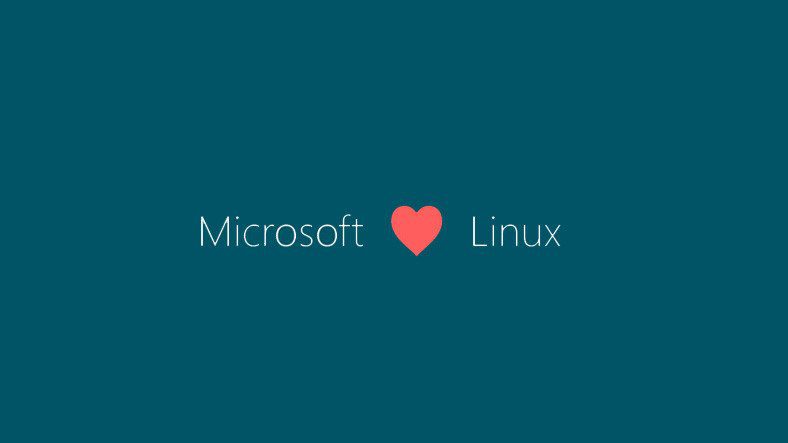 Windows 11. Будет работать с ядром Linux