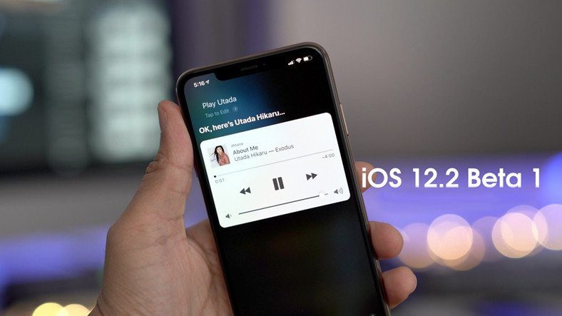 AppleОпубликована первая открытая бета-версия iOS 12.2