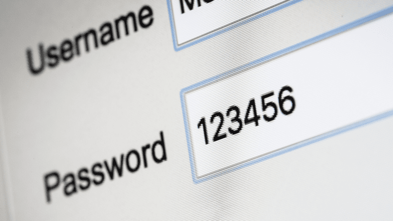 Самые используемые комбинации паролей в Интернете