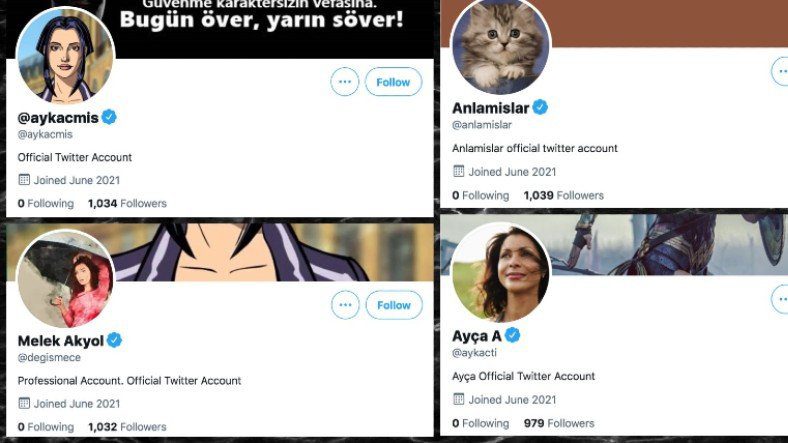 TwitterВыяснилось, что 6 турецких фейковых аккаунтов получили синюю галочку