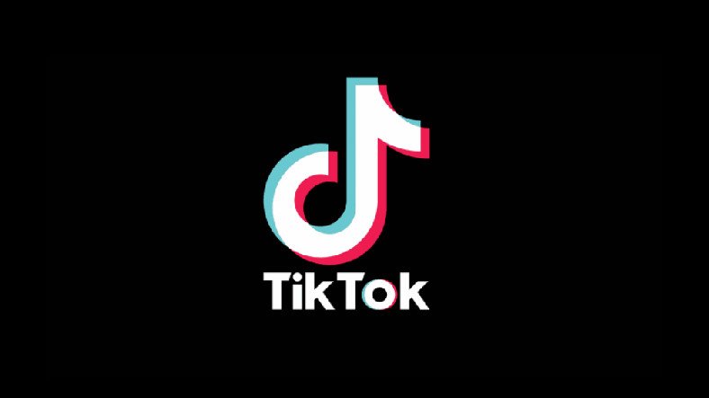Предметом обсуждения стало кислотное видео индийского феномена TikTok