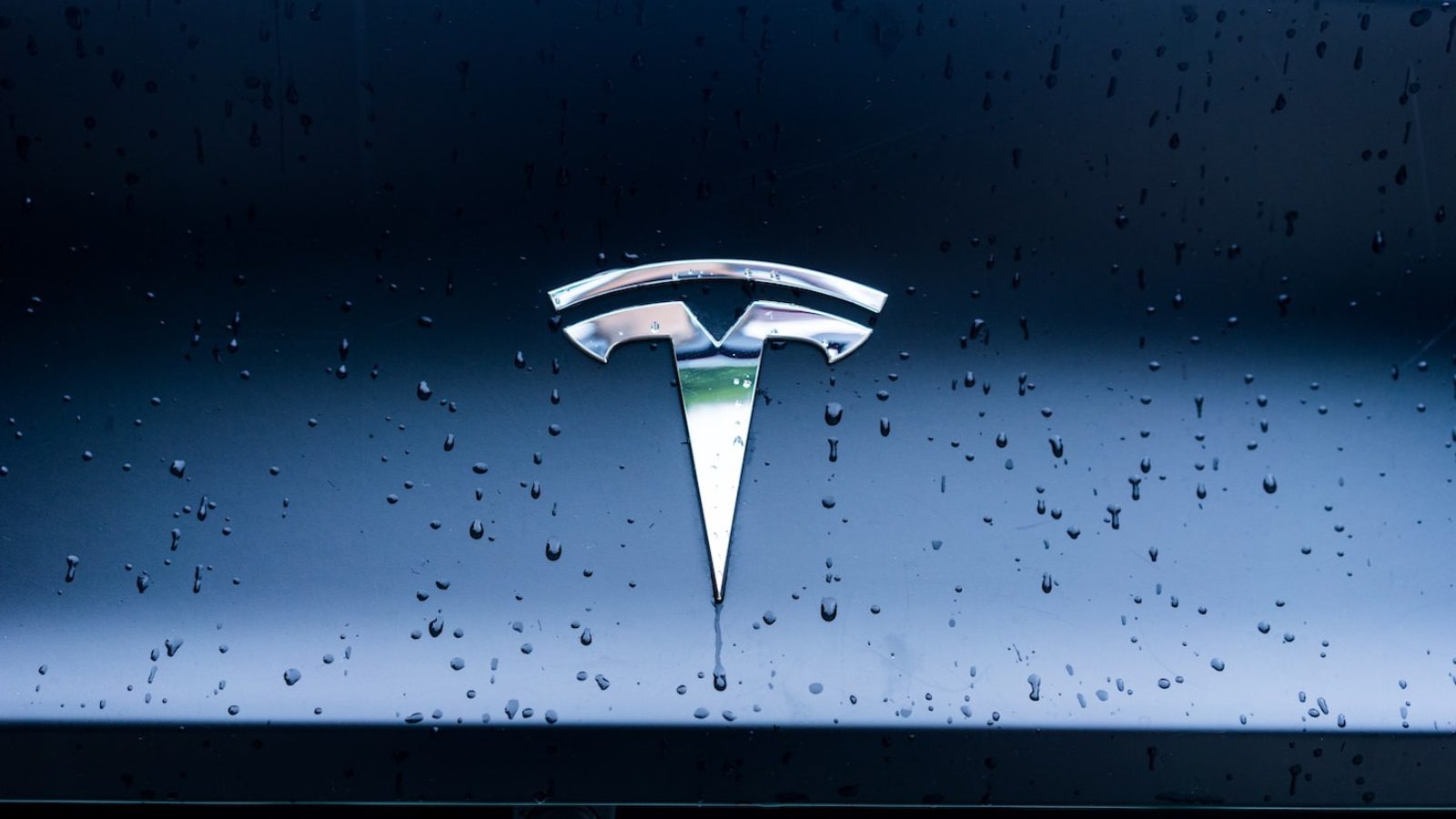 Tesla Debug, поступающая на завод по производству микросхем в Китае, заявляет, что это подделка