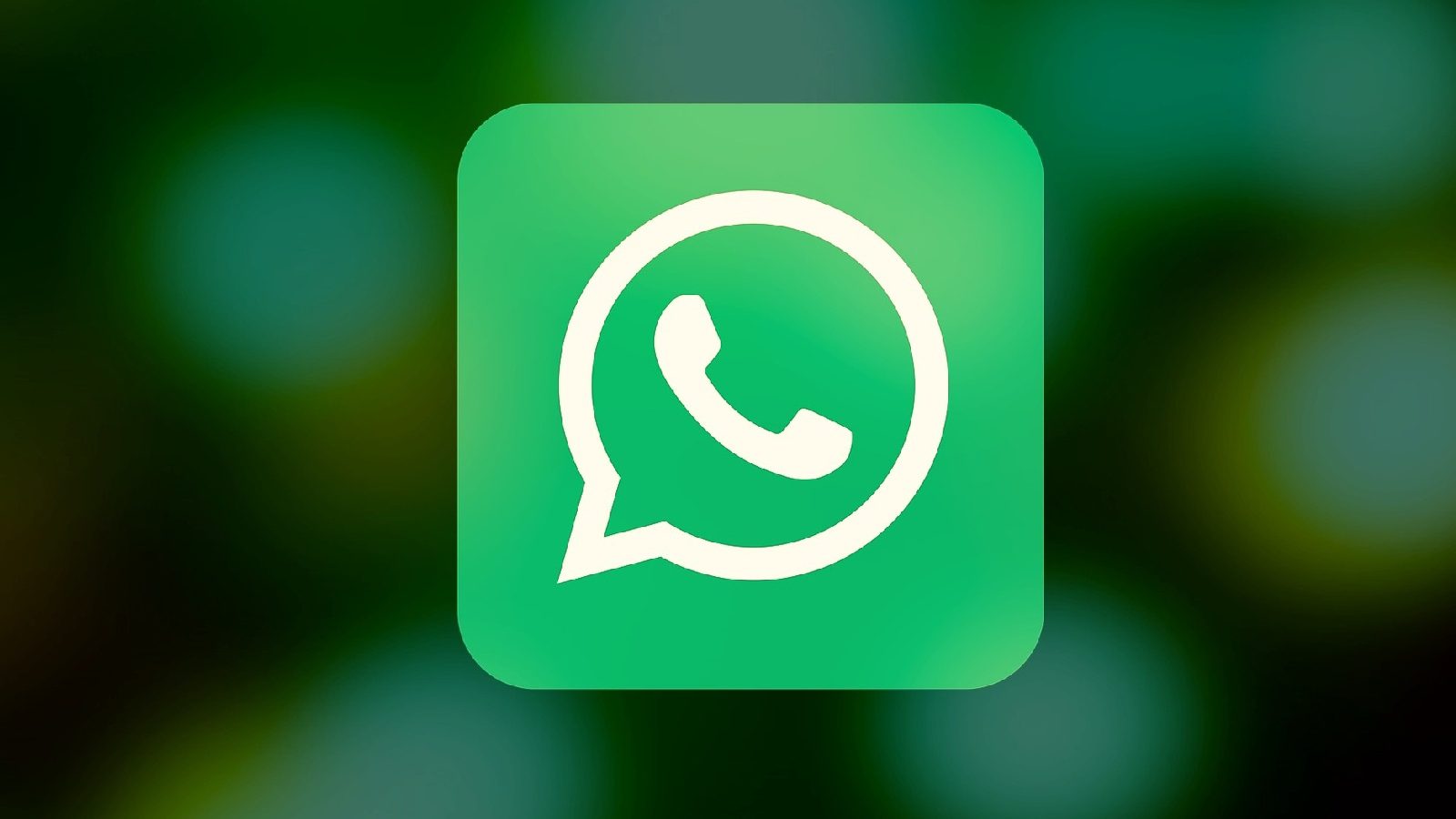 WhatsApp запускает поддержку чата в приложении, чтобы напрямую обращаться к официальным лицам за помощью