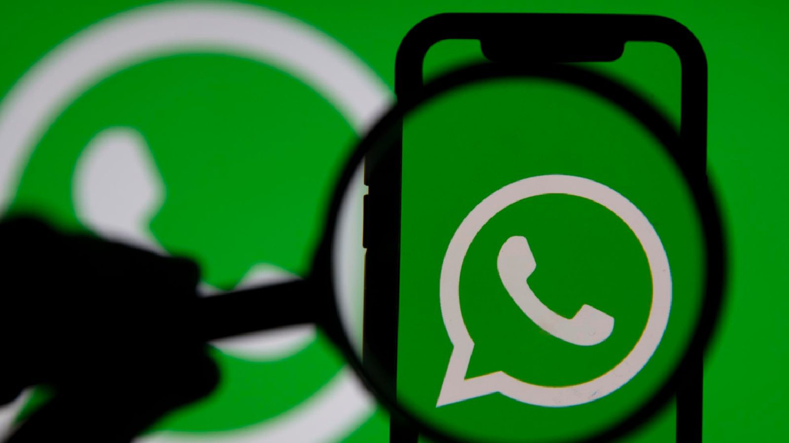 Новая возможность WhatsApp позволяет пользователям переносить историю чатов с Android на iOS