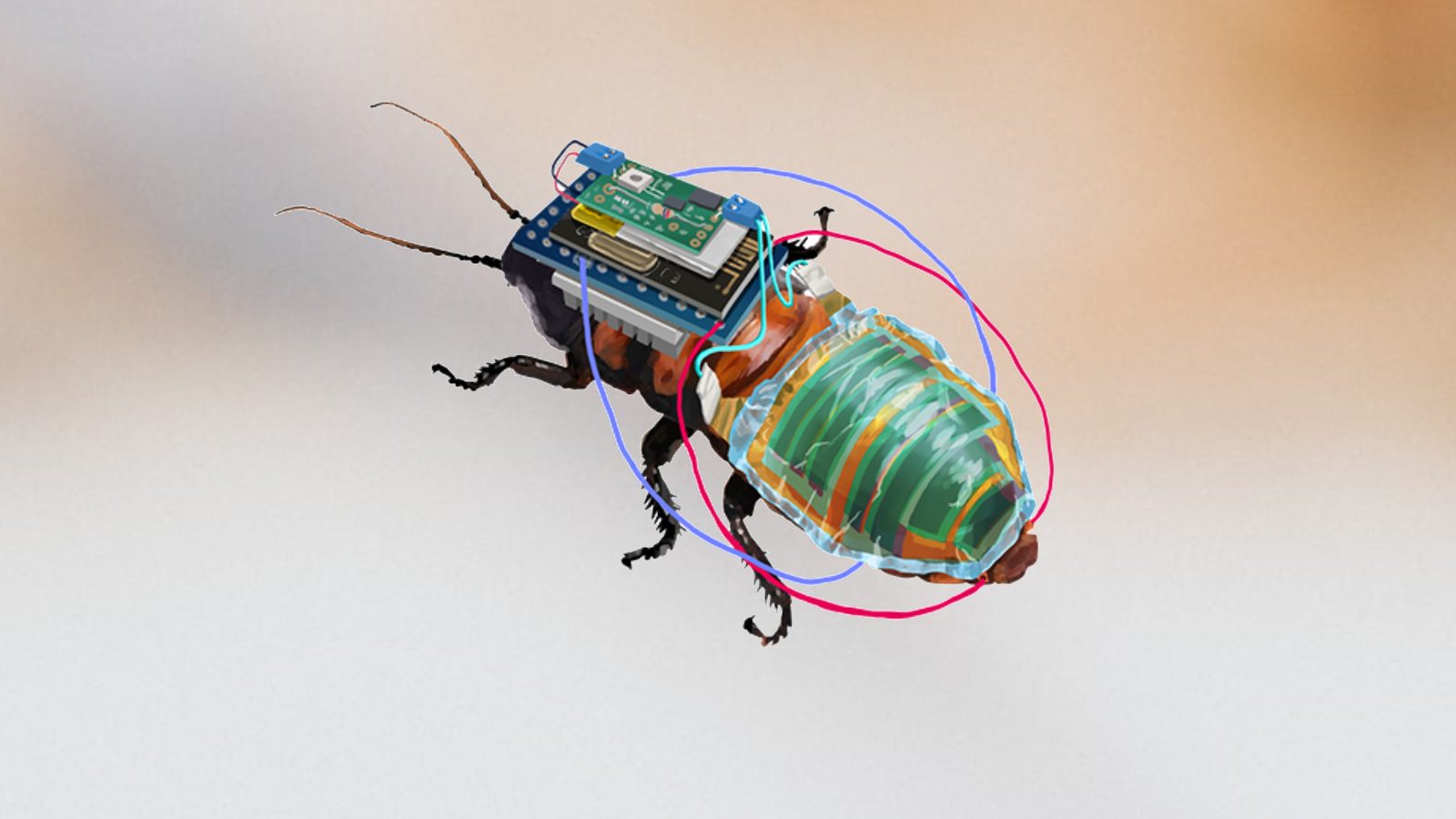 Японские учёные создали тараканов-киборгов с дистанционным управлением при помощи солнечных батарей