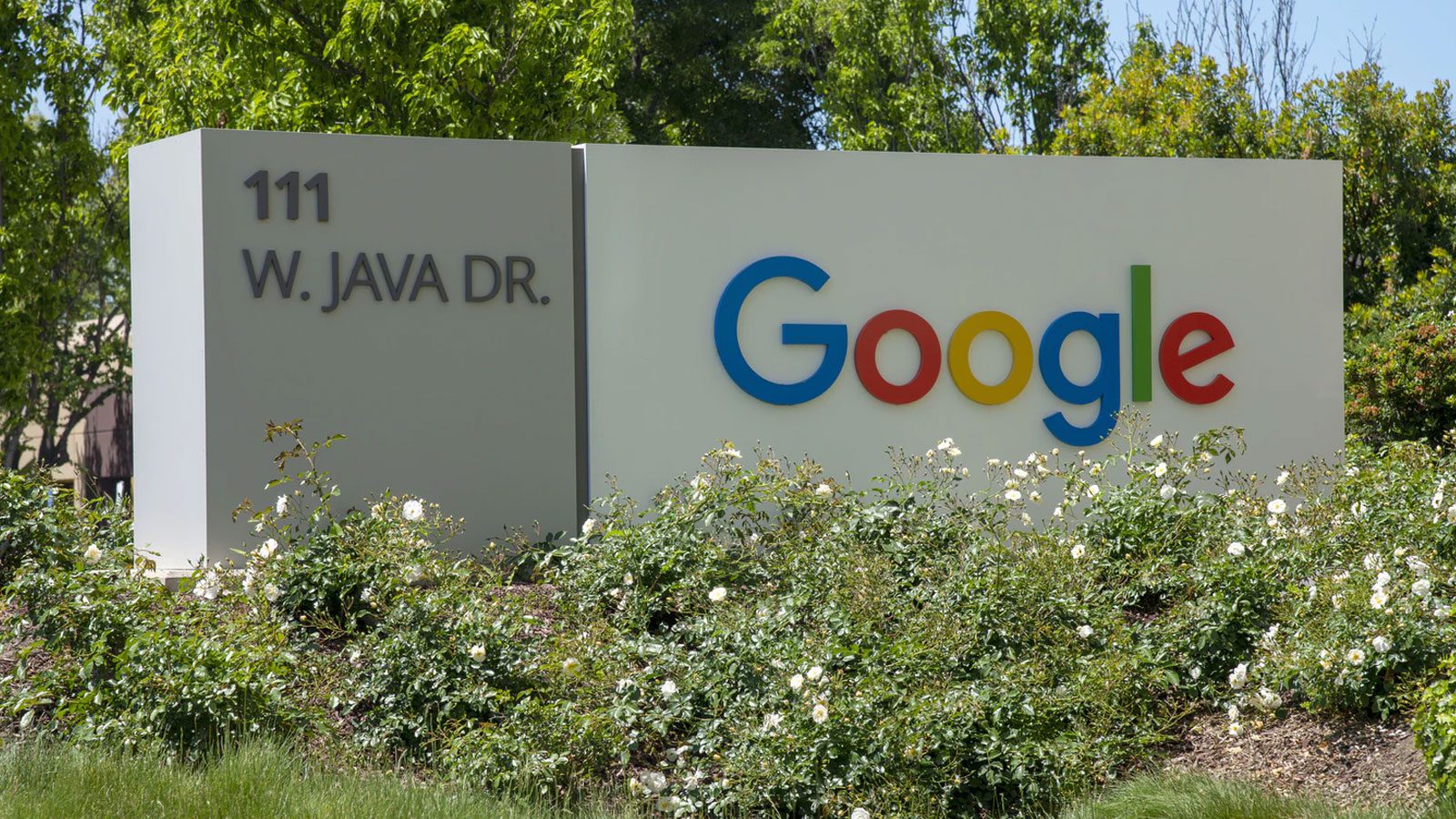 Alphabet, материнская компания Google, заработала рекордную выручку в $257 млрд в 2021 году