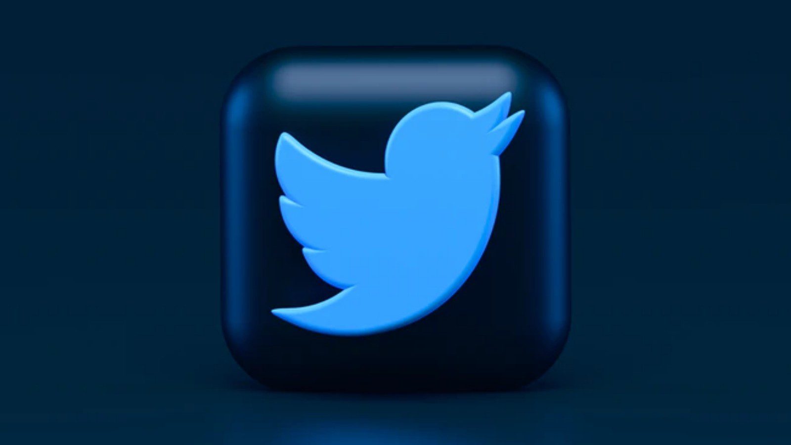 Twitter Назначает временного директора по контролю за соблюдением нормативных требований перед заседанием Палаты представителей