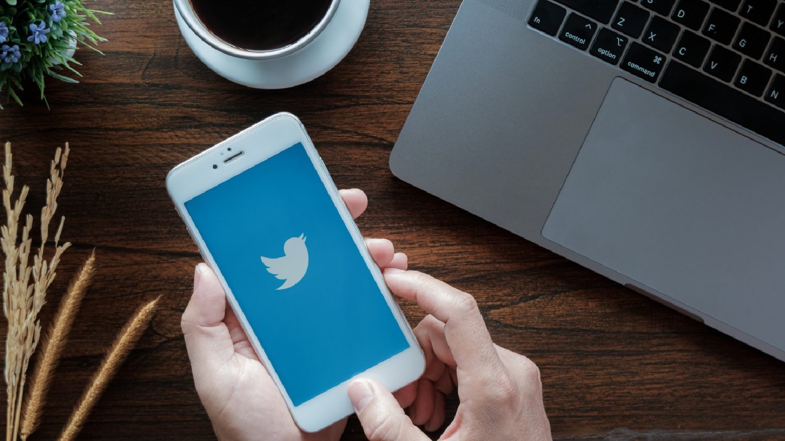 Twitter Работаем над функцией, которая позволит нескольким пользователям совместно писать твиты