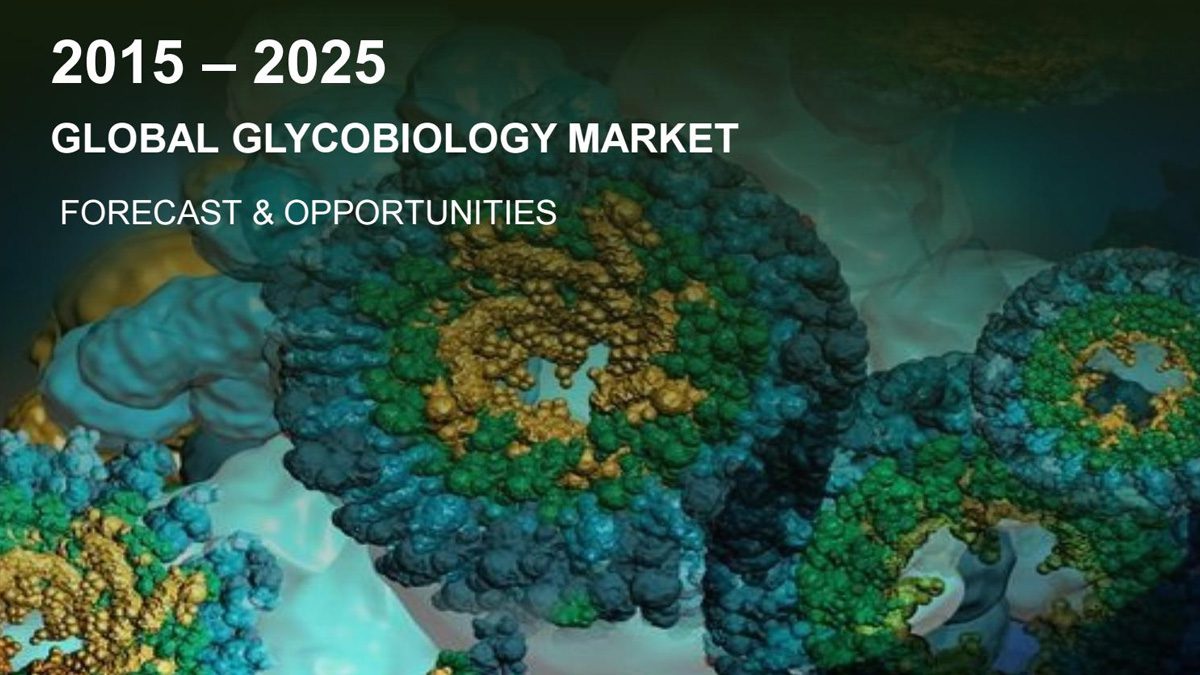 К 2025 году глобальный рынок гликобиологии будет оцениваться в 1 934,09 миллиона долларов США