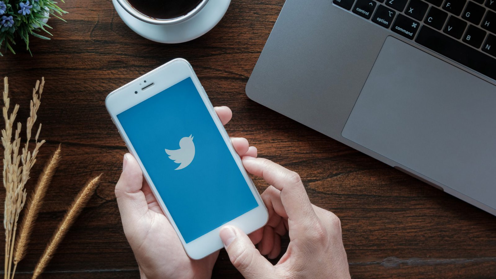 Обновления приложений для iOS помогут предотвратить исчезновение твитов во время чтения Twitter