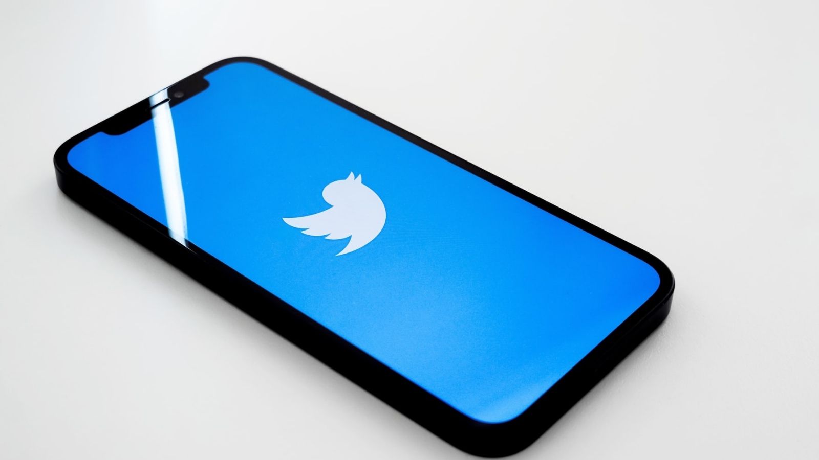 Служба социальных сетей Twitter Тестирует интерфейс в стиле TikTok для вкладки «Обзор»