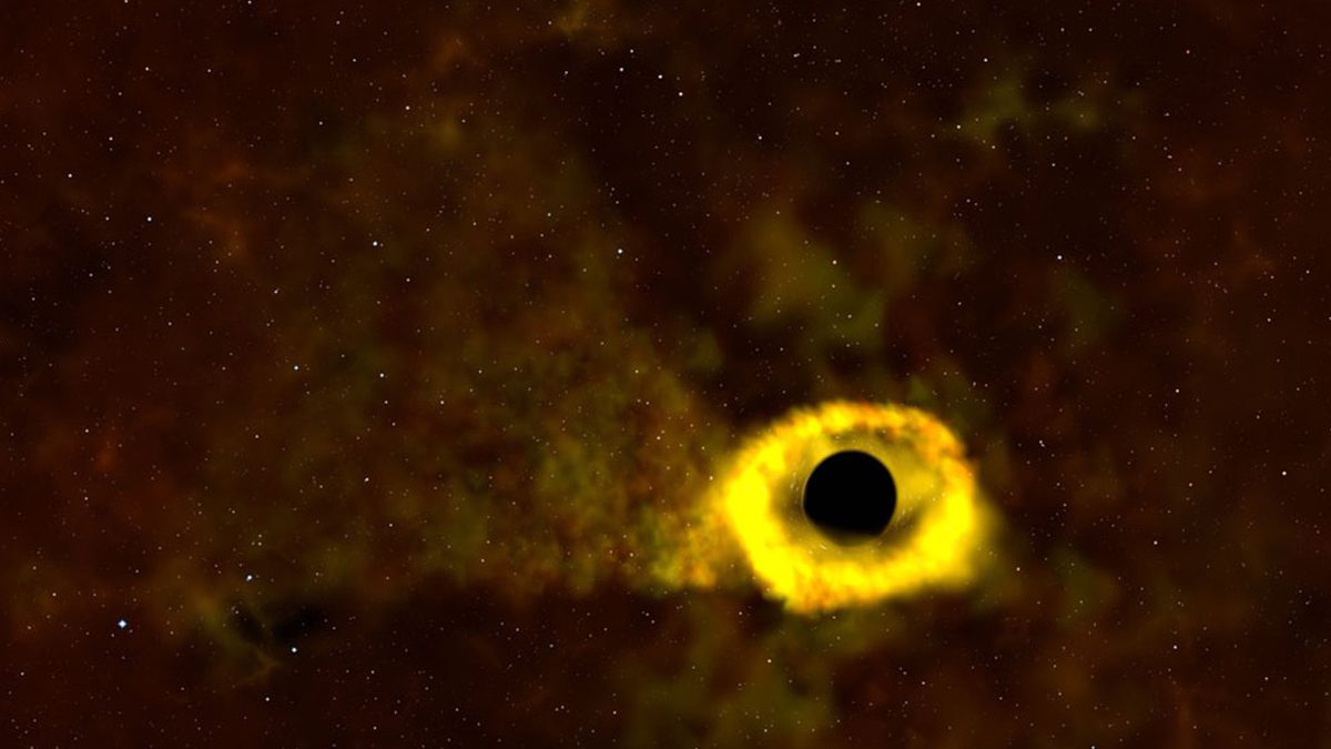 Миссия НАСА TESS стала свидетелем первой разрушающей звезды черной дыры