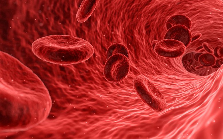 Создание нанобота, способного перемещаться по кровеносным сосудам