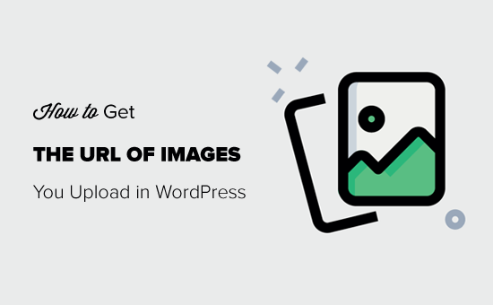 Как получить URL изображений, которые вы загружаете в WordPress