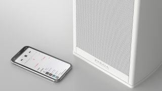 Piega Premium Wireless 301 звук