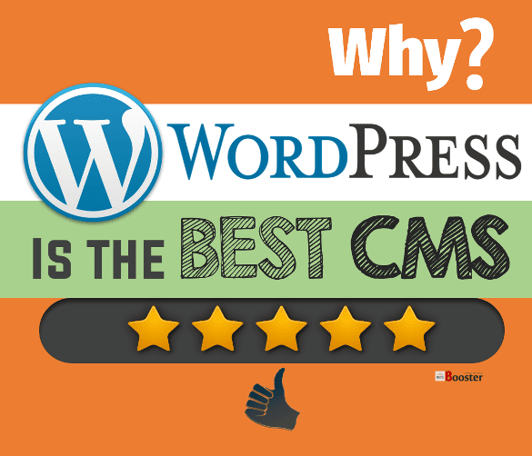 Why WordPress Is The Best CMS