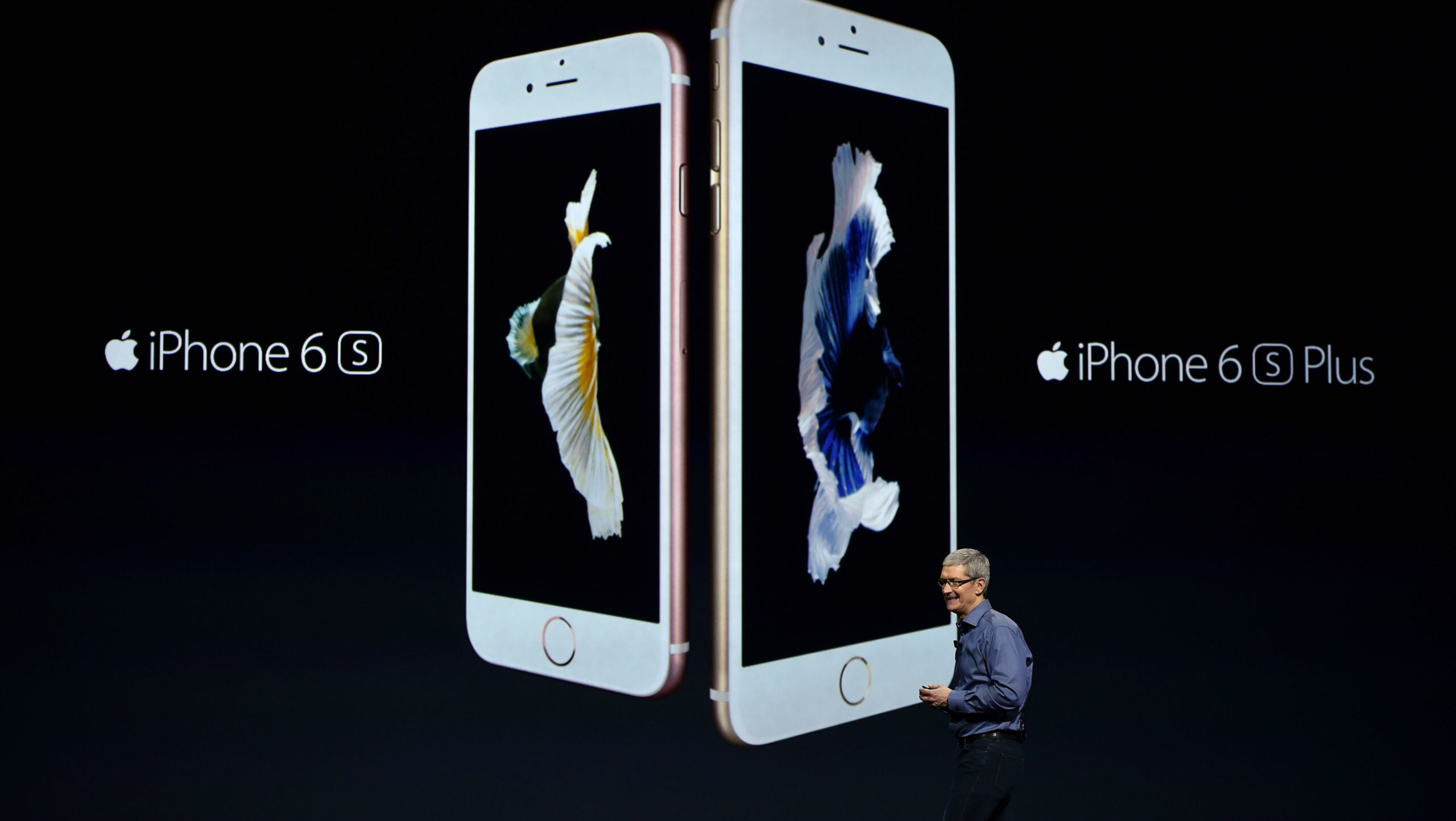 iPhone 7 против 6S: стоит ли обновлять или ждать iPhone 8?