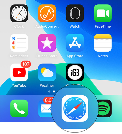 Запустите приложение Safari на iPhone под управлением iOS 13