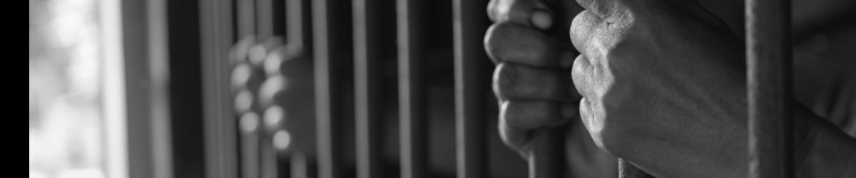 Операторы сайта «Пиратская трансляция» «Пелиспедия» приговорены к тюремному заключению