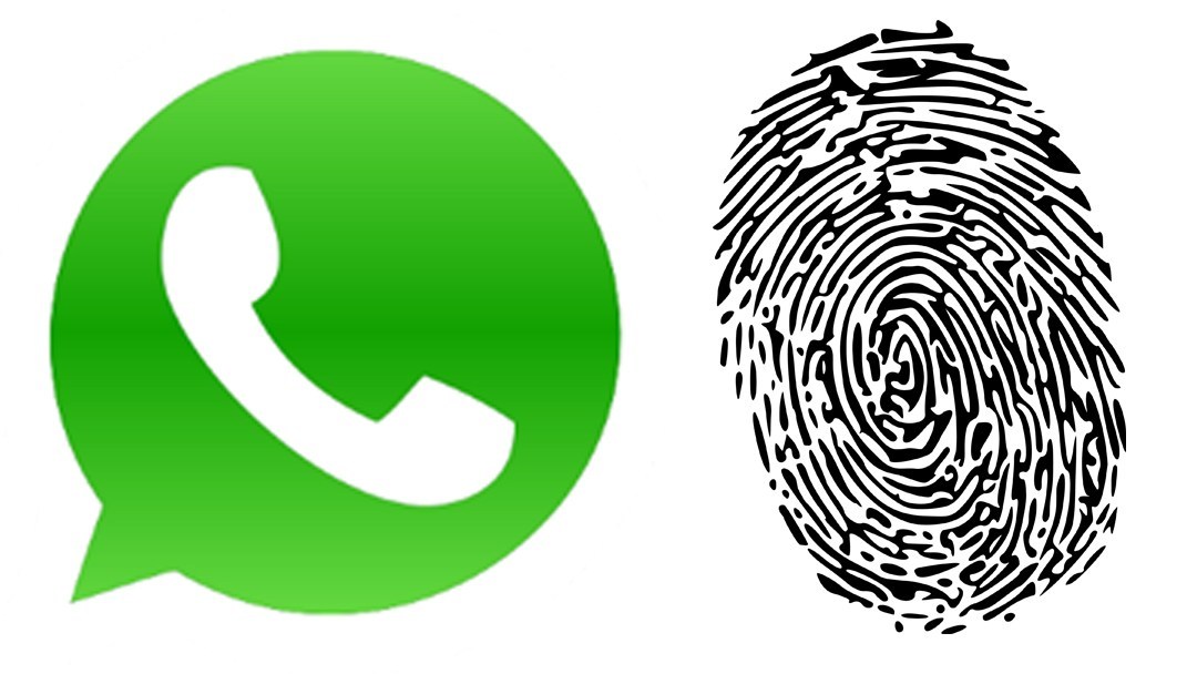 Таким образом вы защищаете свои разговоры в WhatsApp с помощью отпечатка пальца Android.
