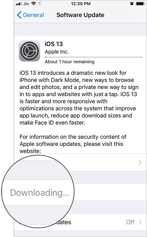 Загрузка iOS 13 начинается на iPhone