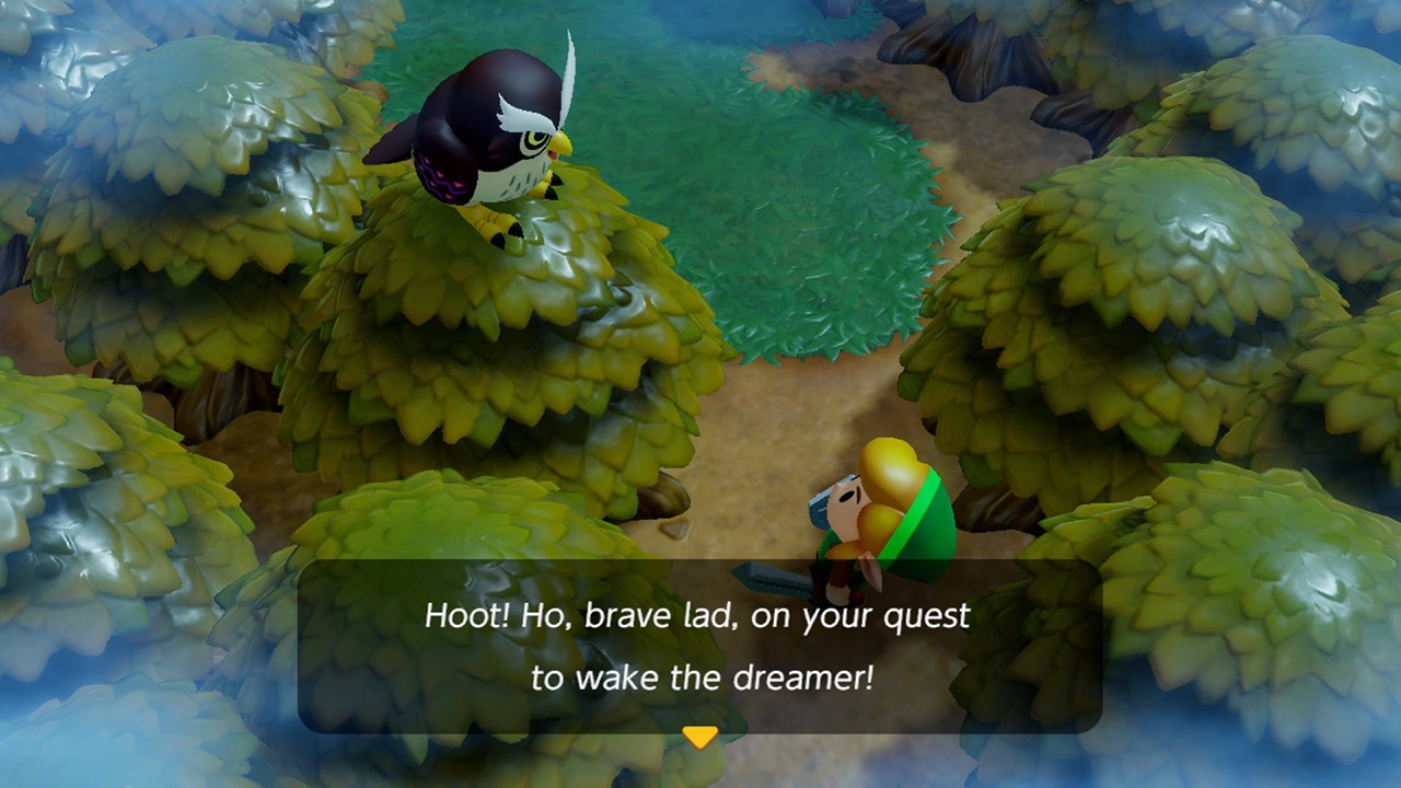 легенда о пробуждении Zelda Link