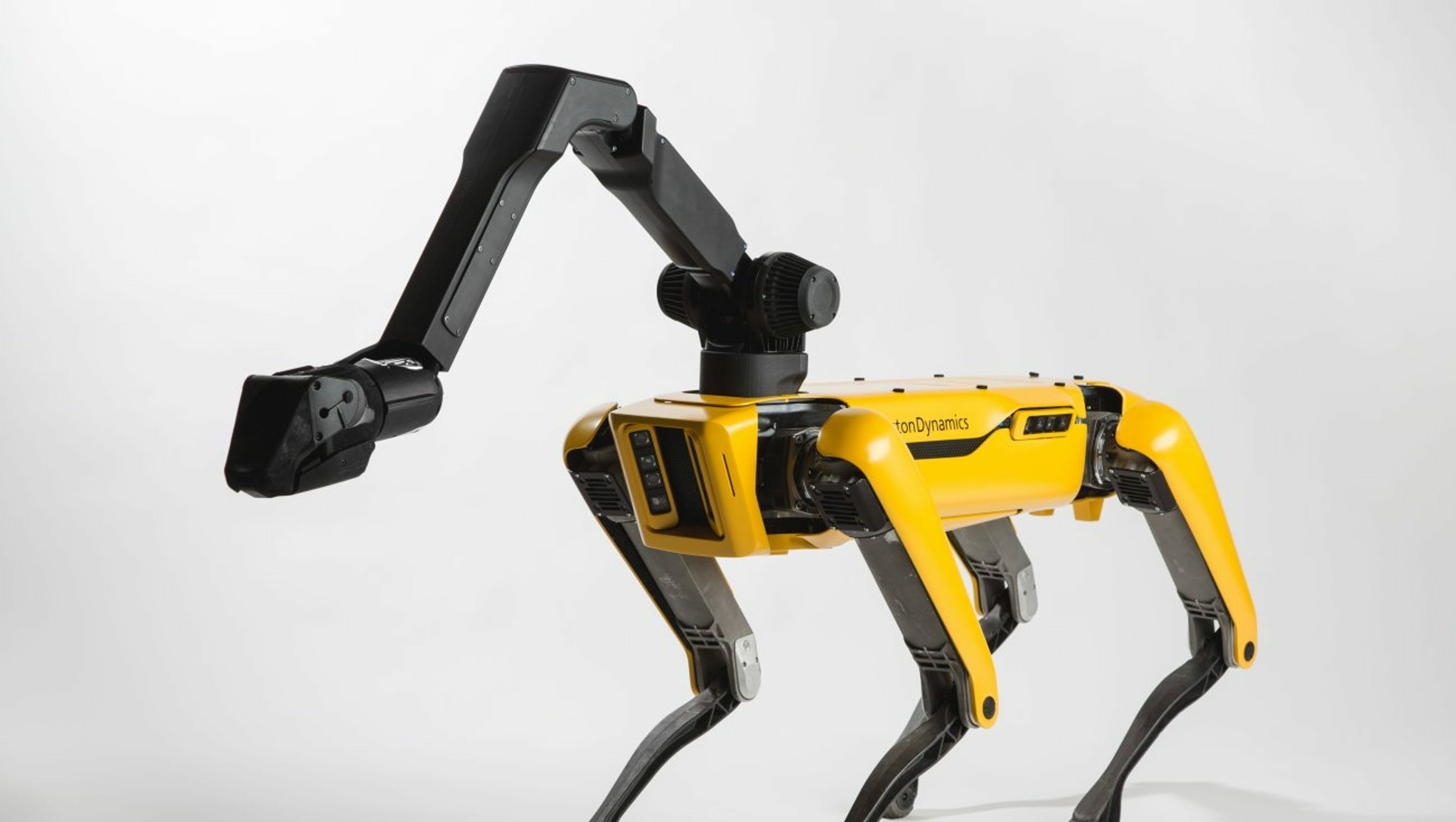 Boston Dynamics начинает продажи своего робота-собаки Спота