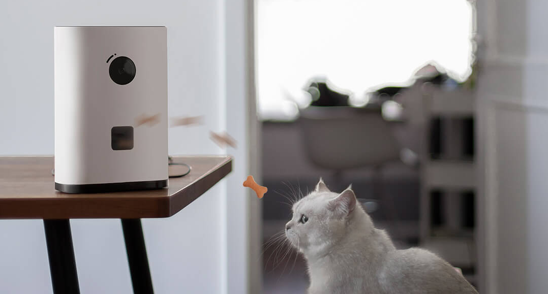Xiaomi запускает в продажу новую камеру для наблюдения за домашними животными, оснащенную наградным диспенсером