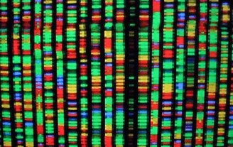 Генетическое картирование должно революционизировать диагностику редких заболеваний
