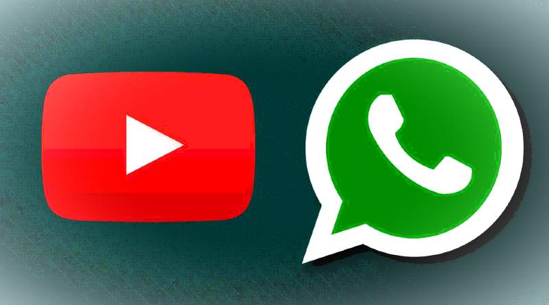Как установить видео YouTube в статусе WhatsApp