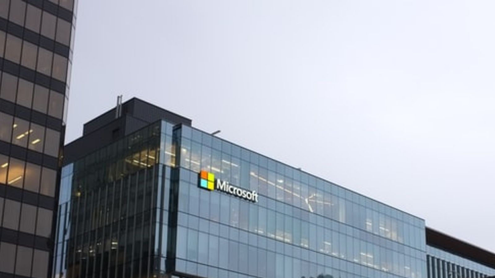 Microsoft Company