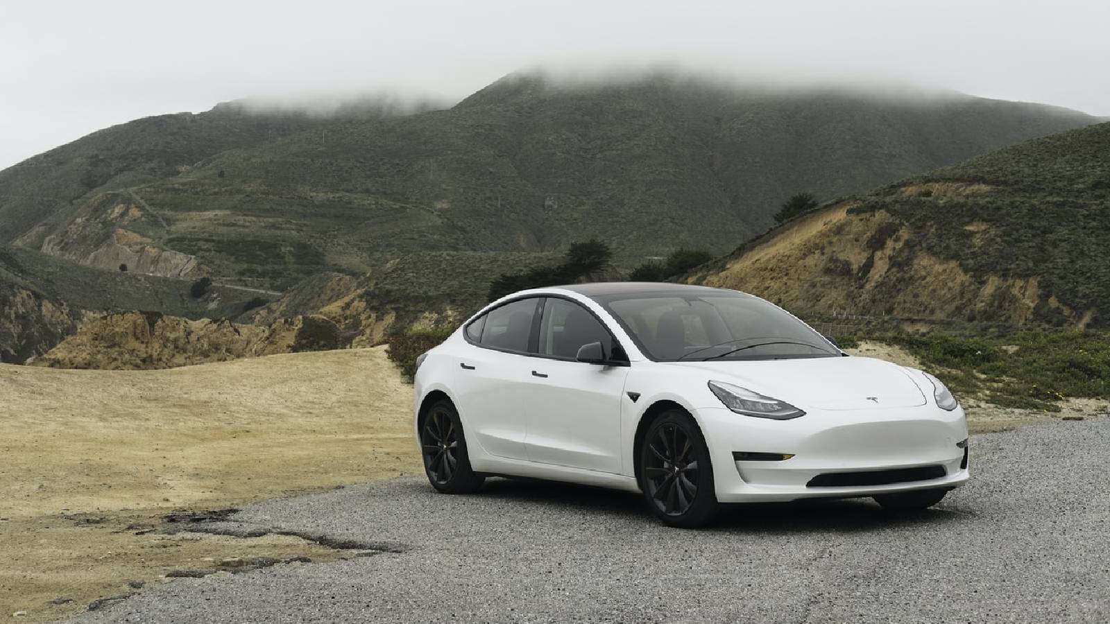 Tesla Car Software