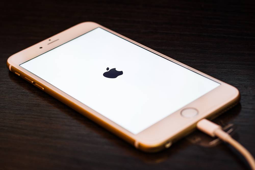 iPhone 12 может поставляться с новым зарядным кабелем в оплетке, но без зарядного устройства