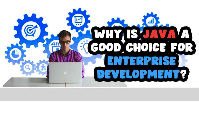 Why Is Java a Good Choice for Enterprise Development?