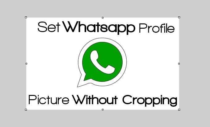 Как установить изображение профиля WhatsApp без обрезки