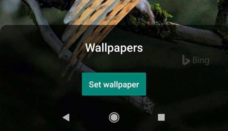 Как установить ежедневные фотографии Bing в качестве обоев на Android