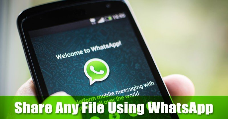 Как поделиться практически любым файлом с помощью WhatsApp