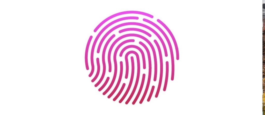 Экран Touch ID