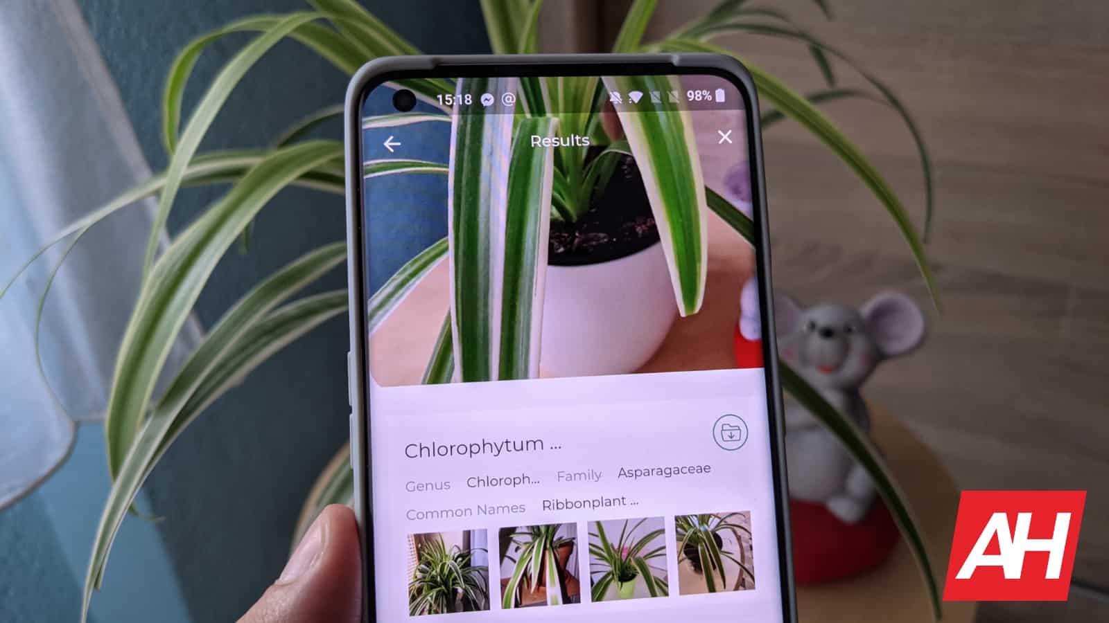 9 лучших приложений для Android для идентификации растений и цветов - 2021