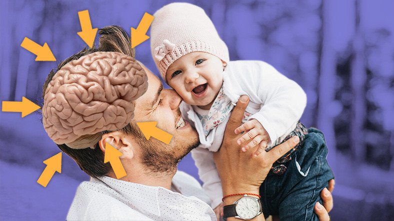 Мозг мужчин «сжимается» после того, как они становятся отцами