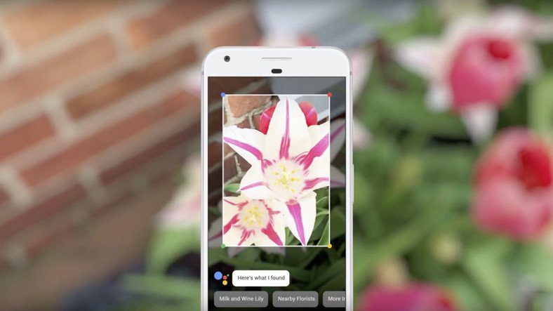 Google Lens выпущен для всех устройств Android