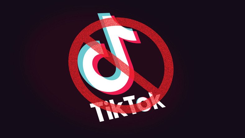 Неудивительные результаты опроса о TikTok