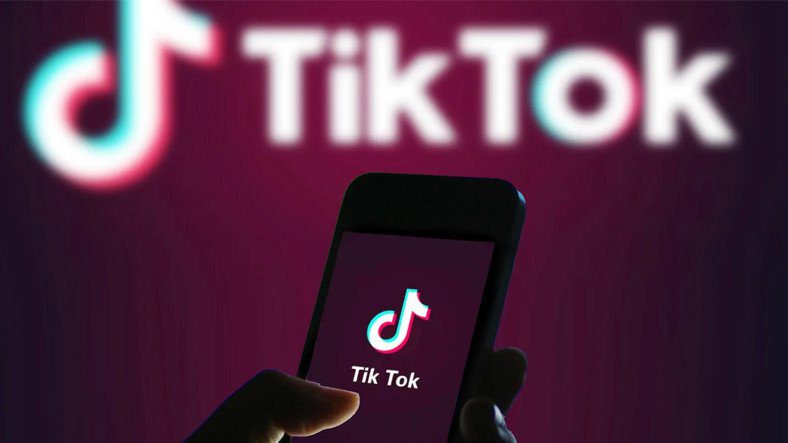 11-летняя девочка потратила 4000 долларов на TikTok
