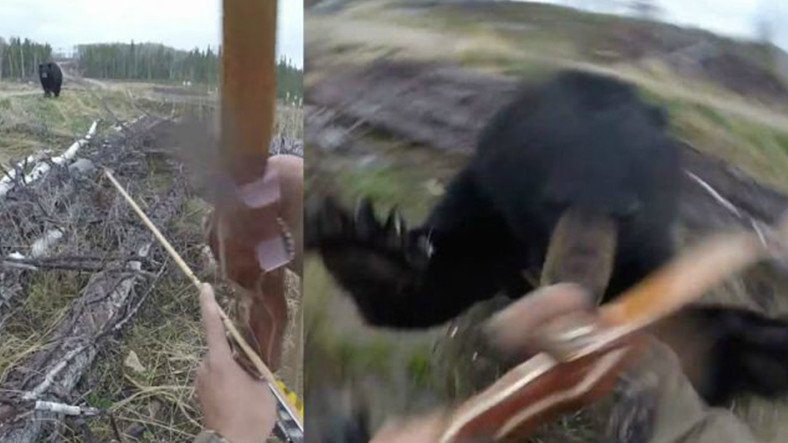 Изображение бурого медведя, нападающего на охотника, отразилось в камерах!